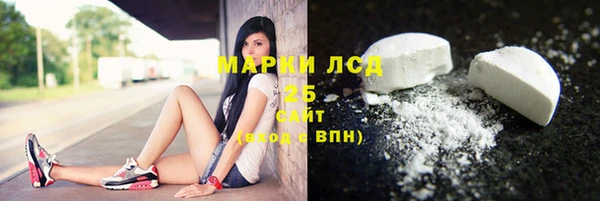 стаф Бородино