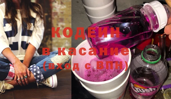 стаф Бородино