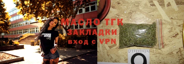 стаф Бородино