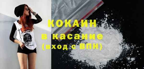 стаф Бородино