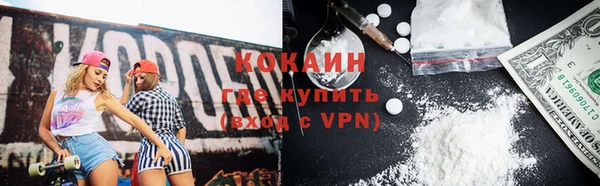 стаф Бородино